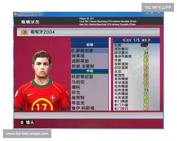 期待实况欧洲杯全球盛会足球激情点燃球迷热情 期待实况欧洲杯全球盛会足球激情点燃球迷热情