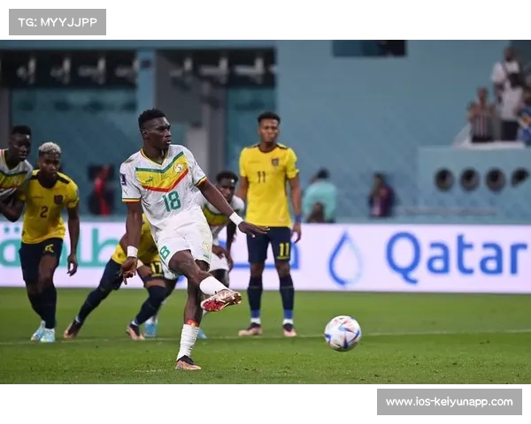 库利巴利制胜添荣光 塞内加尔逆转厄瓜多尔晋级世界杯16强 库利巴利制胜添荣光 塞内加尔逆转厄瓜多尔晋级世界杯16强